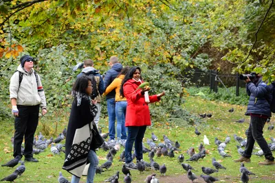 DSC_0535 (Large).JPG